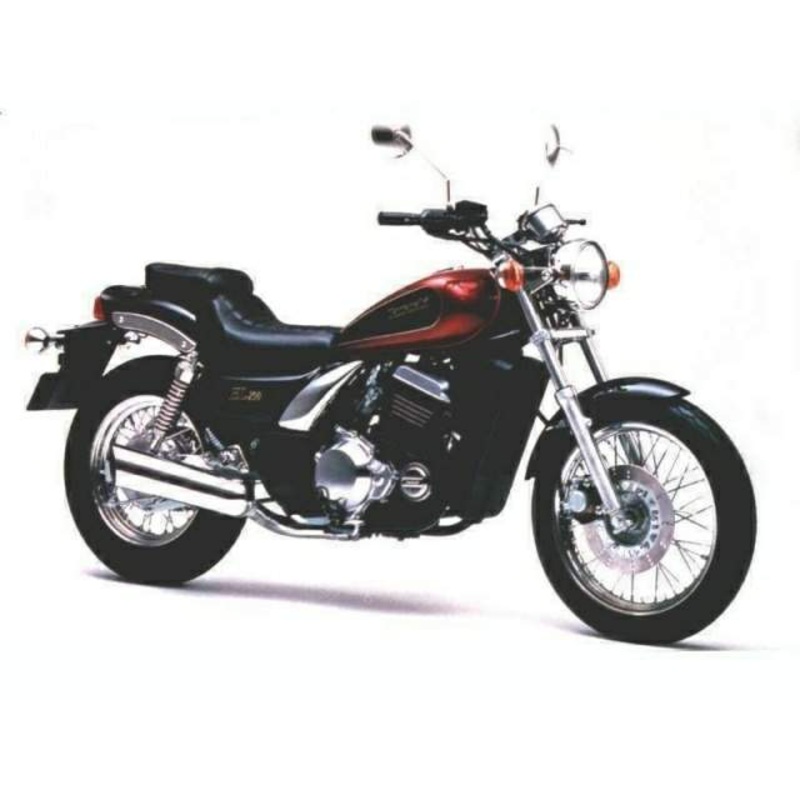 Kawasaki EL 250 D5
