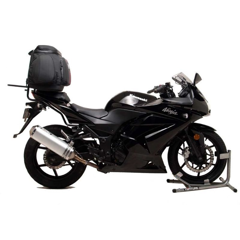 Kawasaki EX 250R Ninja F1 (2012)