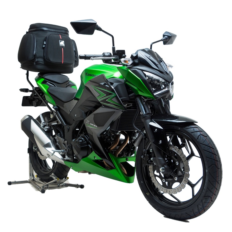Kawasaki Z 300 (2015)