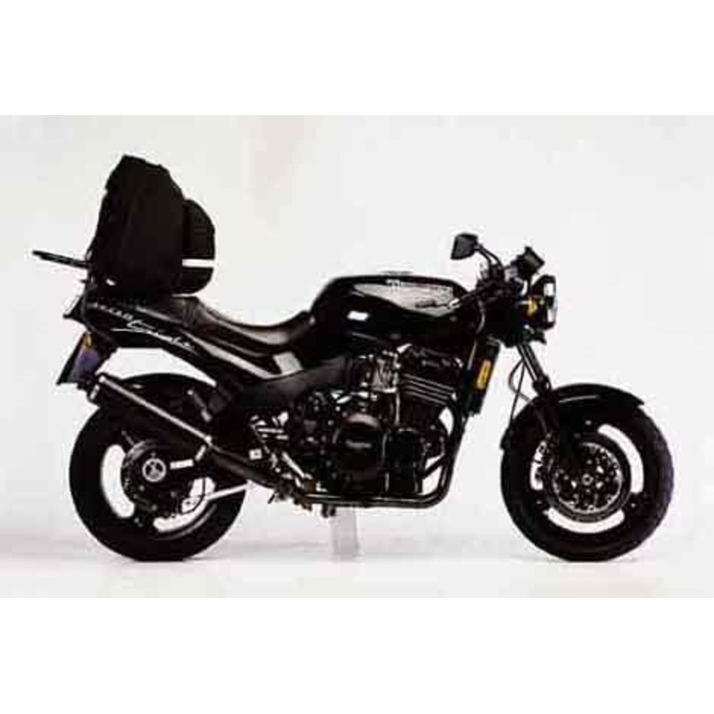 Triumph Speed Triple 900 R,S,T (94-96)