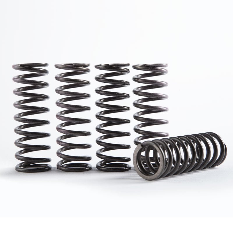 Hinson 5pc Hi-Temp Clutch Spring | CS641-5-1901