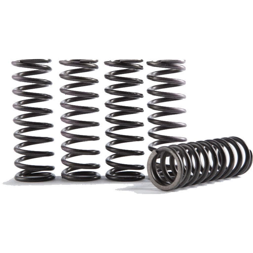 Hinson 5pc Hi-Temp Clutch Springs | CS216-5-0315